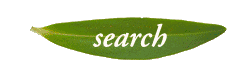 Search